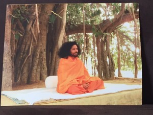 Guruji under the Banyan tree